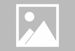 娱乐吃瓜酱手机版下载