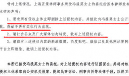 娱乐吃瓜君被律师函警告,揭秘网络舆论的风口浪尖
