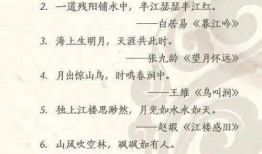 娱乐吃瓜酱名言名句大全,名言名句中的趣味人生